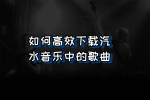 汽水音乐下载后播放闪退或卡顿？程序冲突与系统优化方法
