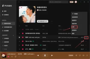 汽水音乐下载的 MV 无法观看？缓存与解码问题