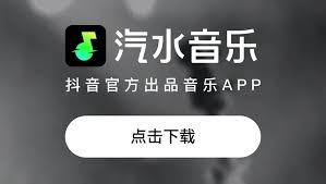 汽水音乐下载歌曲无法播放？格式与版权解析